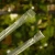 Palik U S (2).webp