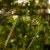 Palik U M (4).webp
