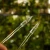 Palik U M (5).webp