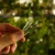 Palik U M (6).webp