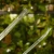 Palik U M (2).webp