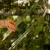 Palik U M (7).webp