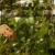 Palik U L (5).webp