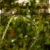 Palik U L (6).webp