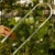 Palik U L (2).webp
