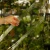 Palik U L (9).webp
