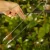 Palik U XS (2).webp