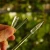 Palik U XS (4).webp