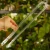 Palik U XS (1).webp