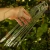 DSC06576.webp