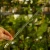 DSC06643-Photoroom.webp