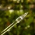 DSC06642-Photoroom.webp