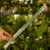 DSC06639-Photoroom.webp