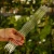 DSC06644-Photoroom.webp