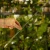 DSC06647-Photoroom.webp