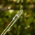 DSC06648-Photoroom.webp