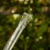 DSC06646-Photoroom.webp