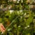 DSC06653-Photoroom.webp
