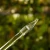 DSC06652-Photoroom.webp