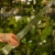 DSC06654-Photoroom.webp