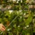 DSC06659-Photoroom.webp