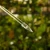 DSC06660-Photoroom.webp