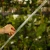 DSC06656-Photoroom.webp