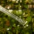 DSC06657-Photoroom.webp