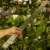 DSC06661-Photoroom.webp