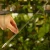 DSC06664-Photoroom.webp