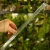 DSC06662-Photoroom.webp