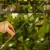 DSC06669-Photoroom.webp