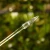 DSC06670-Photoroom.webp