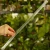 DSC06667-Photoroom.webp
