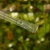 DSC06668-Photoroom.webp