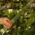DSC06671-Photoroom.webp