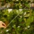 DSC06674-Photoroom.webp
