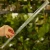 DSC06672-Photoroom.webp