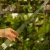 DSC06676-Photoroom.webp