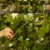 DSC06680-Photoroom.webp