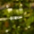 DSC06681-Photoroom.webp