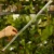 DSC06678-Photoroom.webp