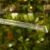 DSC06679-Photoroom.webp