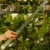 DSC06682-Photoroom.webp