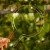 DSC06620-Photoroom.webp