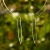 DSC06622-Photoroom.webp