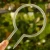 DSC06609-Photoroom.webp