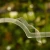 DSC06610-Photoroom.webp