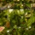DSC06613-Photoroom.webp