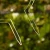 DSC06615-Photoroom.webp